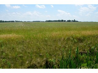 Property photo 138 - LAND AUCTION - 700+/- ACRES OFFERED IN 16 TRACTS IN ALLEN COUNTY, INDIANA